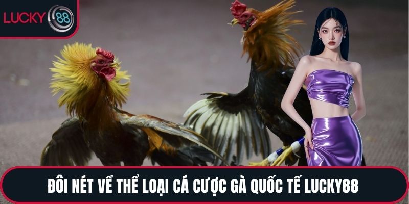 Đôi nét về thể loại cá cược gà quốc tế LUCKY88