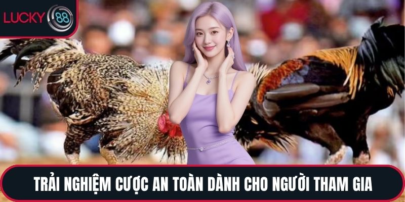 Trải nghiệm cược an toàn dành cho người tham gia